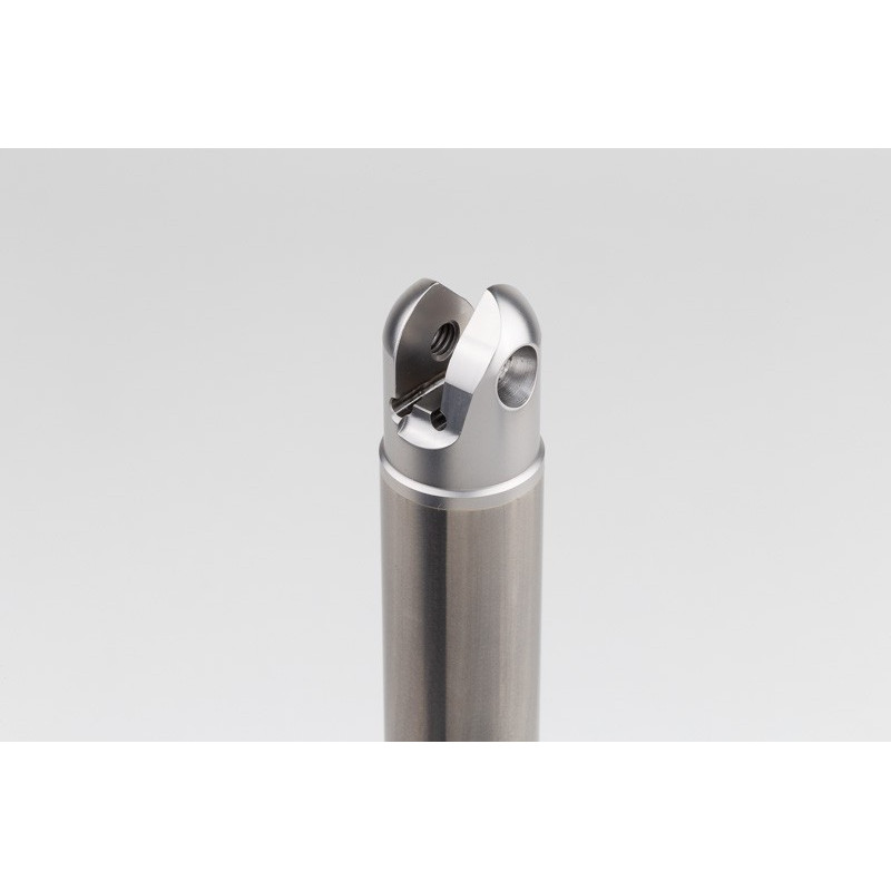 25mm Diameter Indexable Ball End Mill, 25mm Straight Carbide Shank x 250mm Overall Length x 30mm Head Length, 1 Insert