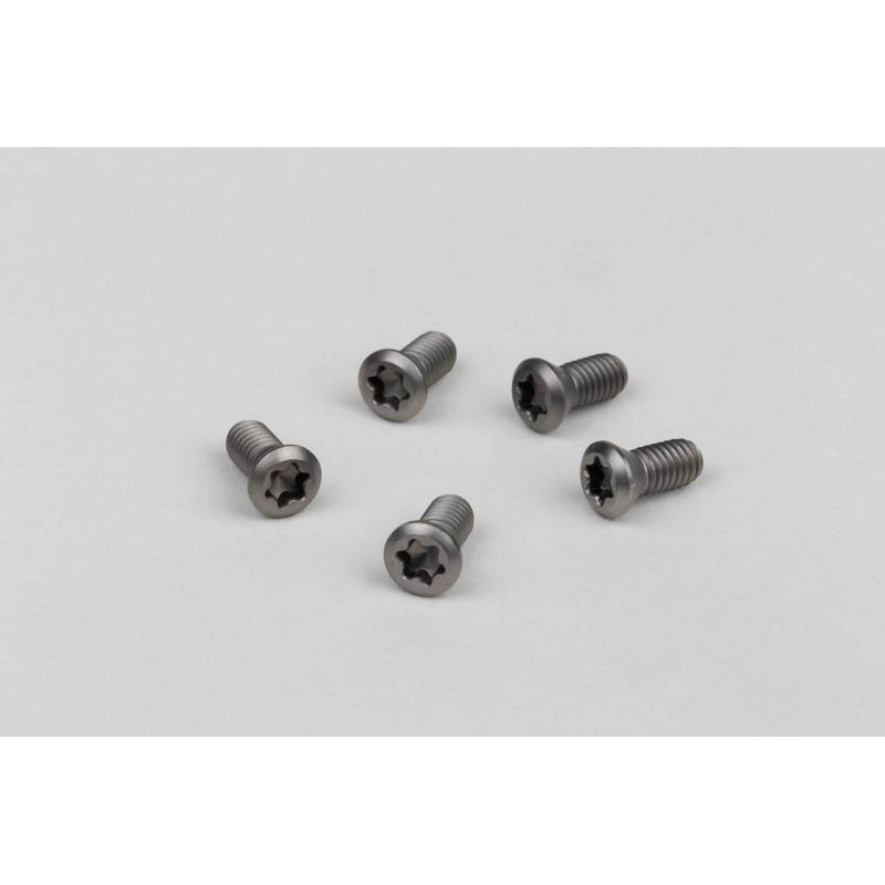 BORING BAR SCREW-6 - Pack of 5