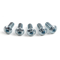 #10-32 Screws for Inch BMT/BOT Turning Holders, Standard Style (Type A) - Pack of 5
