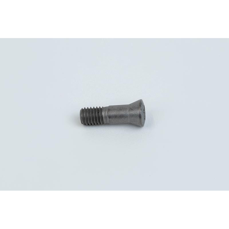TX2020 Insert Screw - Pack of 5