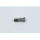 TX2020 Insert Screw - Pack of 5