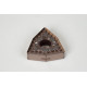 WNMG432-HUR / WNMG080408-HUR, Carbide Turning Insert, Trigon, Grade HTM15 - Pack of 5