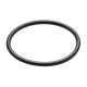 O-ring DCONWS= 20 mm