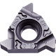 Carbide Threading Insert TLG18409