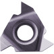 Carbide Threading Insert TJY18218