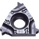 Carbide Threading Insert TJY19014