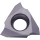 Carbide Threading Insert TJY19488
