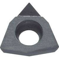 PCD Turning Insert TBR07401