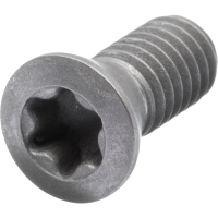 Screw TX6 M1.8x3.8 for AD..X 06..