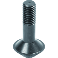 Catch screw, type K10 M8x37