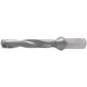Indexable insert drill HSS-E 5xD DIN1835HB 19.5mm L=188mm IC