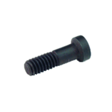 Clamping screw TX2506