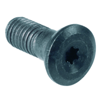 Clamping screw M8x15 T25