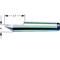 Центр, неподвижный DIN806 MK2 (полуцентр) WS steel