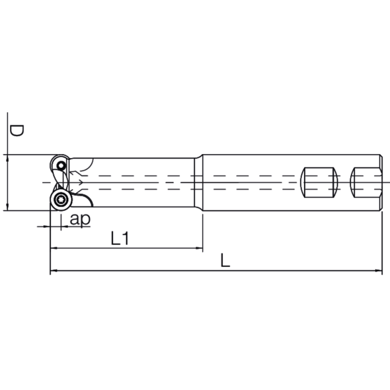 End milling cutter TOROMILL 25090 20, L=110mm, for 2 x RD..1003..