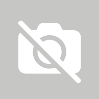 Clamping ring for clamping bolt no. 476001....